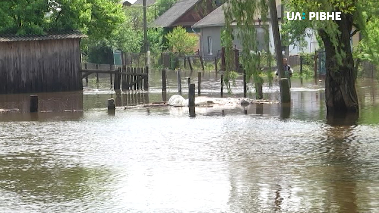 Підтоплене Полісся: рівень води поступово спадає