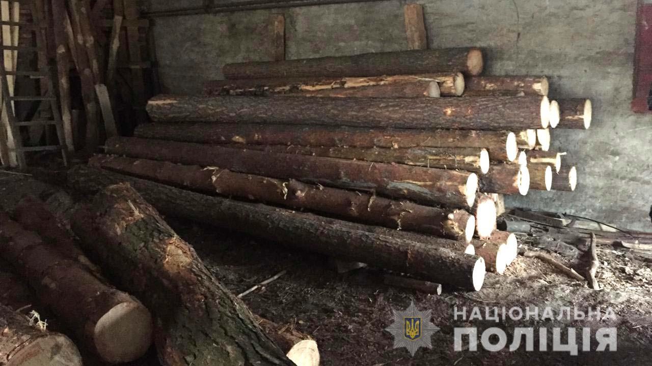 У Костопільському районі поліцейські виявили 30 кубів незаконної деревини